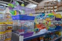 Gaiolas para diversos roedores